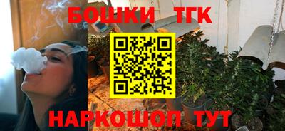 Альфа ПВП Будённовск